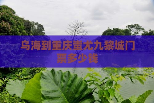 乌海到重庆蚩尤九黎城门票