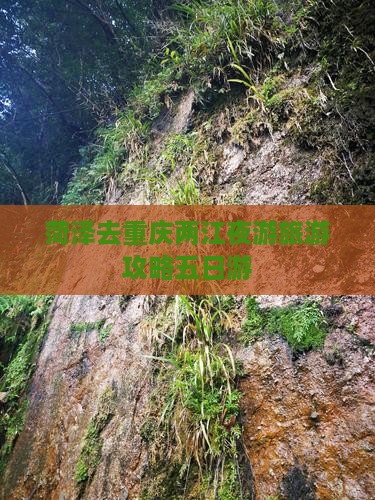 菏泽去重庆两江夜游五日游