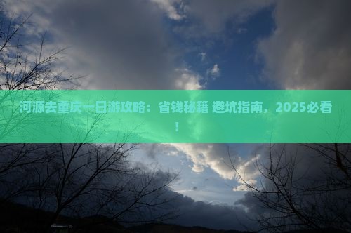 河源去重庆一日