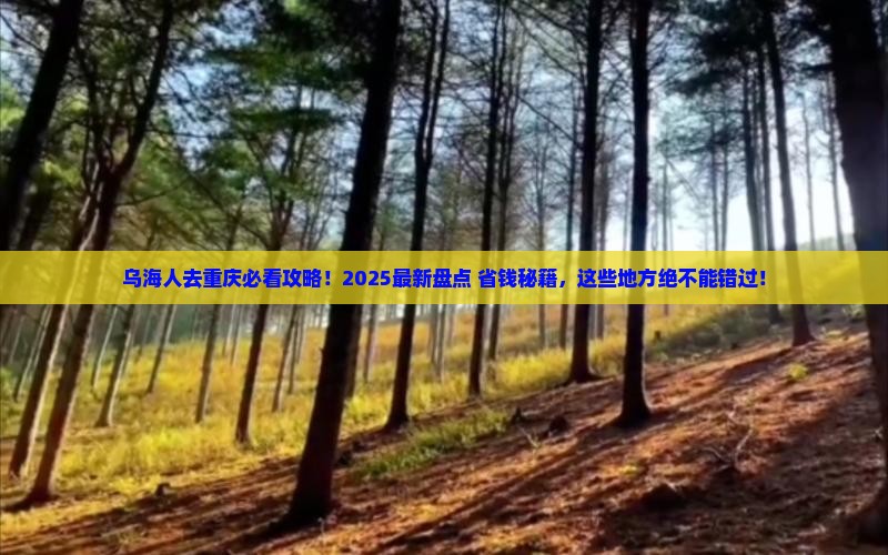 乌海市去重庆必去地 乌海市去重庆必去地
