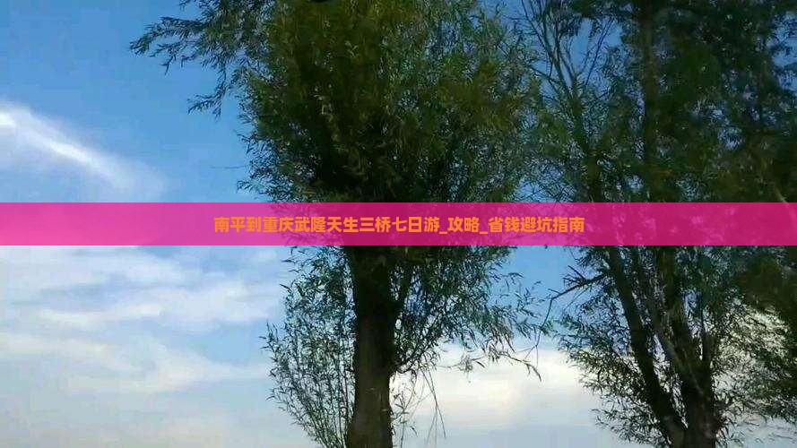 南平到重庆武隆天生三桥七日游