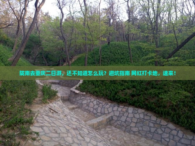 陇南去重庆二日游