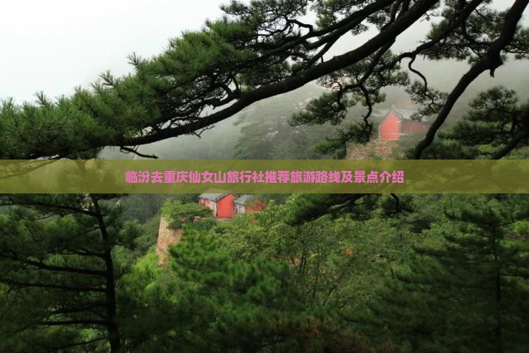 临汾去重庆仙女山旅行社