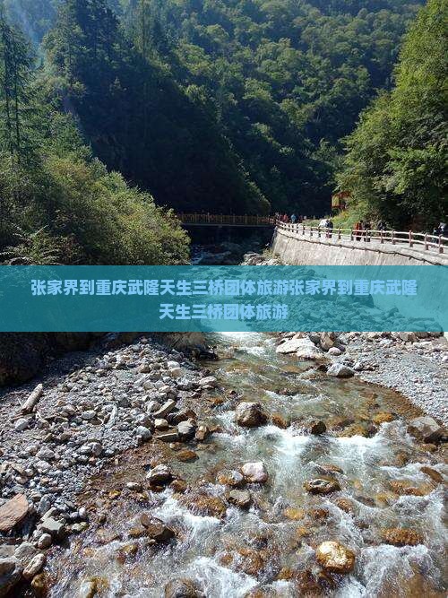 张家界到重庆武隆天生三桥团体旅游
