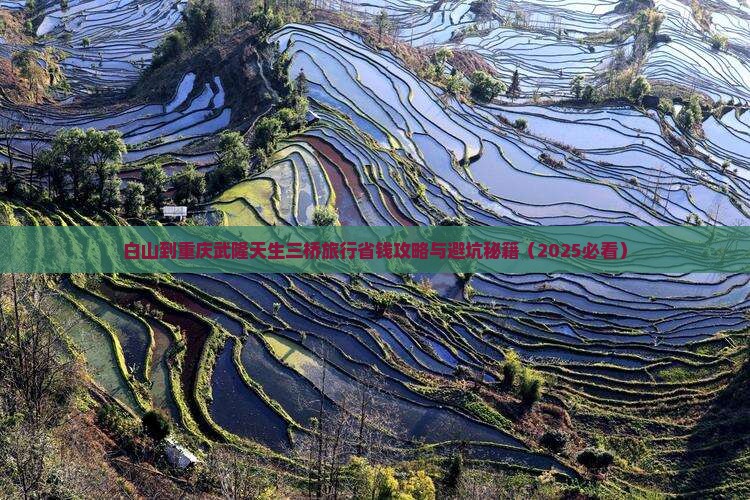 白山到重庆武隆天生三桥旅行社