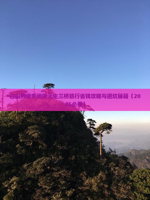 白山到重庆武隆天生三桥旅行社