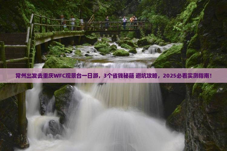 常州去重庆wfc观景台一日