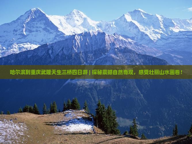 哈尔滨到重庆武隆天生三桥四日游
