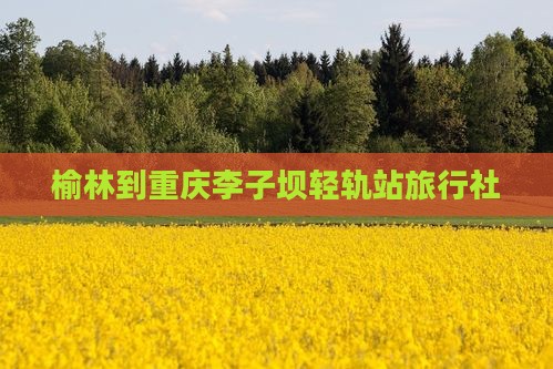 榆林到重庆李子坝轻轨站旅行社