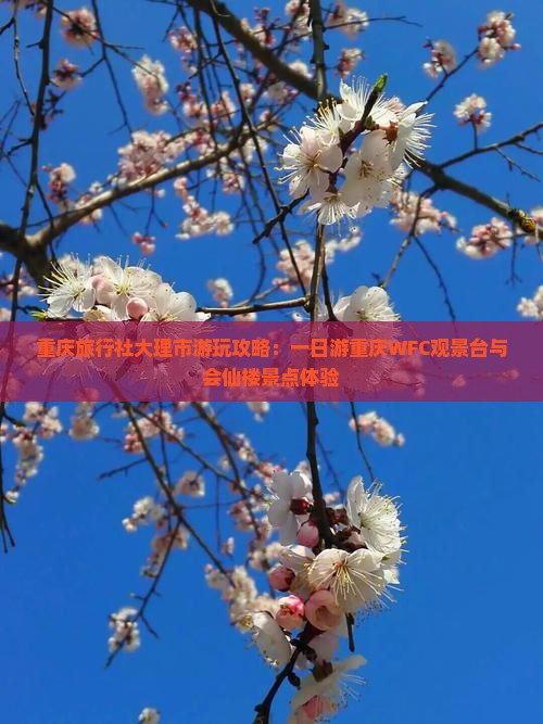 重庆旅行社大理市游玩攻略：一日游重庆WFC观景台与会仙楼景点体验
