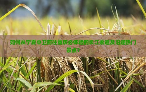 如何从宁夏中卫前往重庆必体验的长江索道及沿途热门景点? 如何从宁夏中卫前往重庆必体验的长江索道及沿途热门景点?