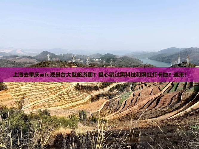 上海去重庆wfc观景台大型旅游团？担心错过黑科技和网红打卡地？速来！
