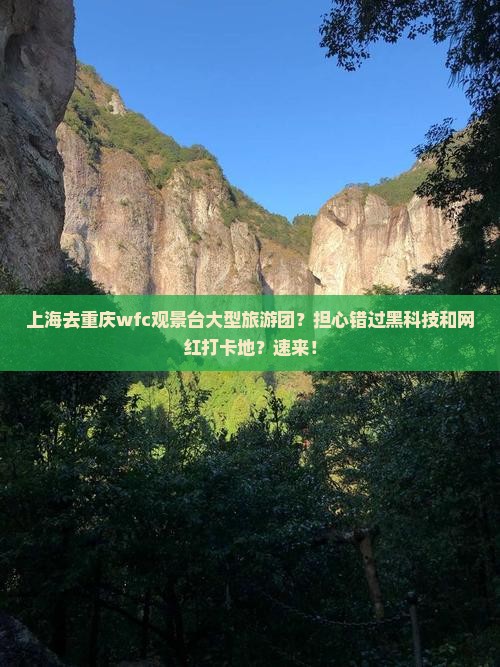 上海去重庆wfc观景台大型旅游团？担心错过黑科技和网红打卡地？速来！