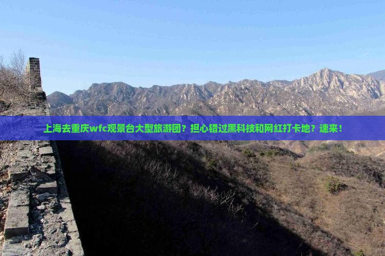 上海去重庆wfc观景台大型旅游团？担心错过黑科技和网红打卡地？速来！