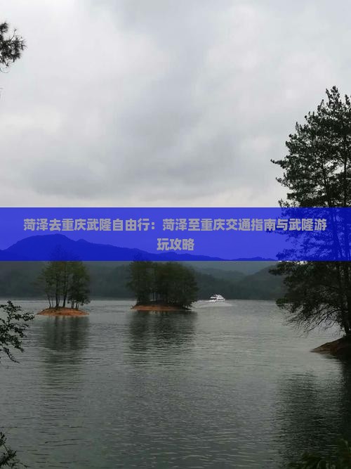 菏泽去重庆武隆自由行：菏泽至重庆交通指南与武隆游玩攻略