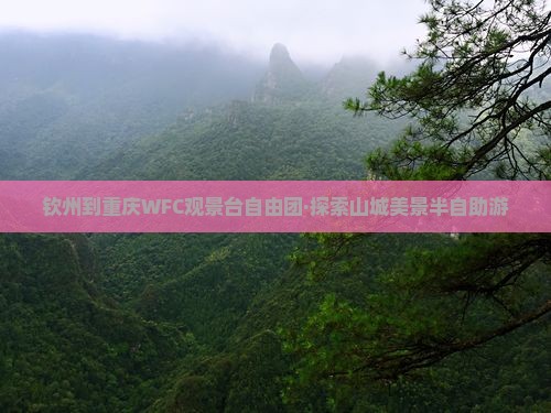 钦州到重庆WFC观景台自由团·探索山城美景半自助游