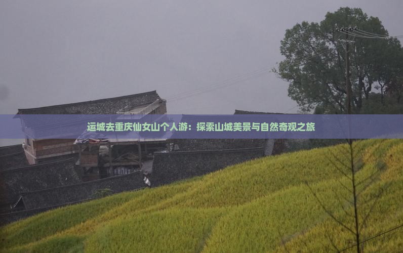 运城去重庆仙女山个人游：探索山城美景与自然奇观之旅