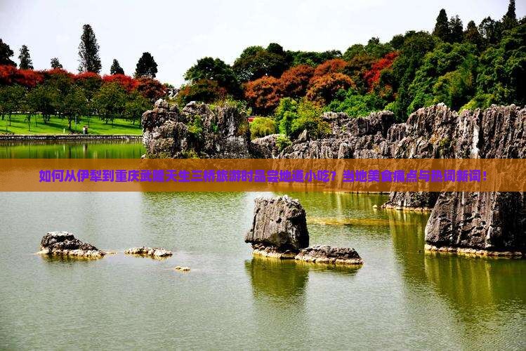 如何从伊犁到重庆武隆天生三桥旅游时品尝地道小吃？当地美食痛点与热词新词！