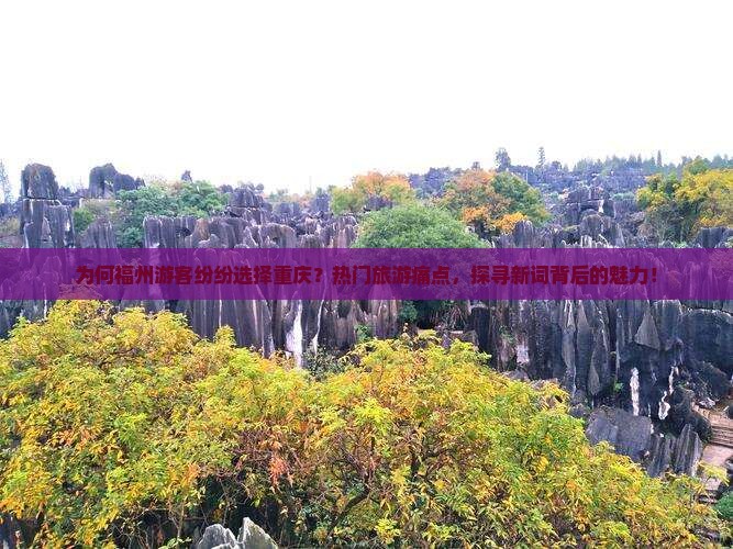 为何福州游客纷纷选择重庆？热门旅游痛点，探寻新词背后的魅力！