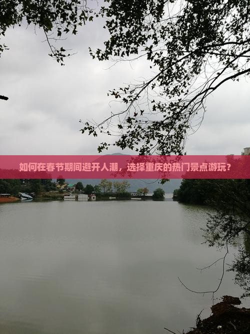如何在春节期间避开人潮，选择重庆的热门景点游玩？