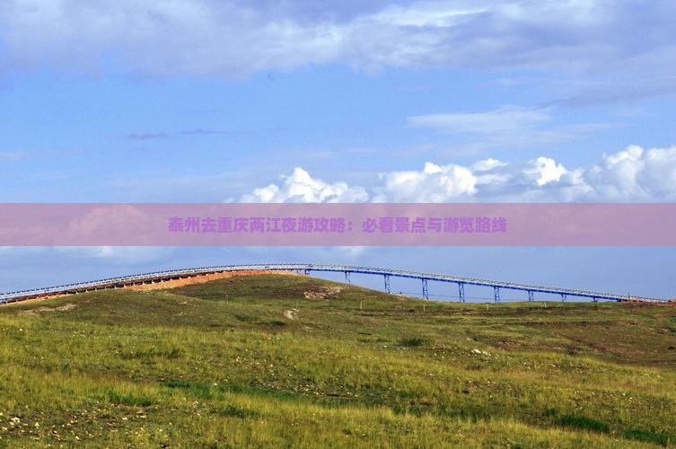 泰州去重庆两江夜游攻略：必看景点与游览路线