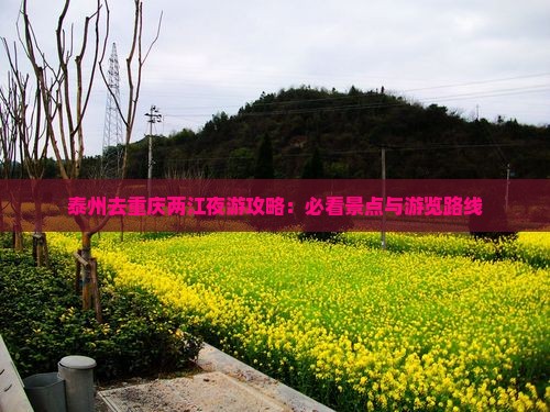 泰州去重庆两江夜游攻略：必看景点与游览路线