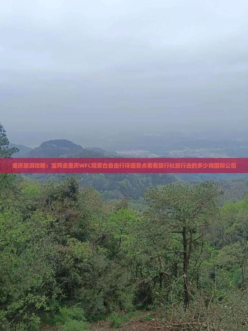 重庆旅游攻略：宝鸡去重庆WFC观景台自由行详细景点看看旅行社旅行去的多少钱国际公司