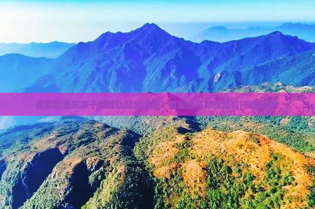 霍邱到重庆李子坝轻轨站旅游团？有哪些推荐线路和行程安排？