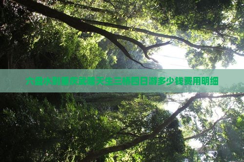 六盘水到重庆武隆天生三桥四日游多少钱费用明细