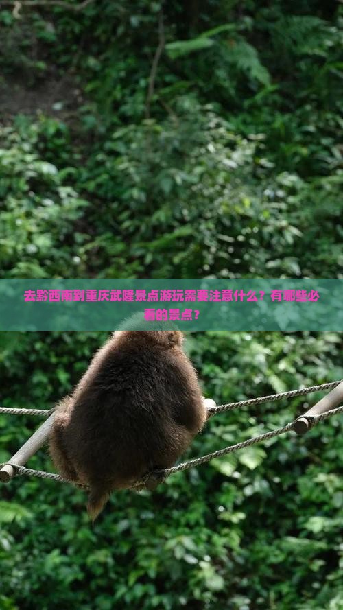 去黔西南到重庆武隆景点游玩需要注意什么？有哪些必看的景点？