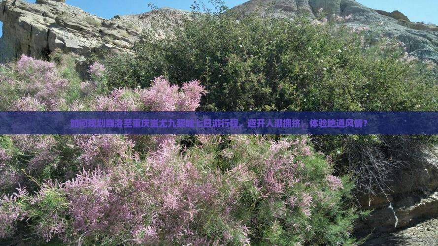如何规划商洛至重庆蚩尤九黎城七日游行程，避开人潮拥挤，体验地道风情？