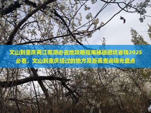文山到重庆两江夜游必去地