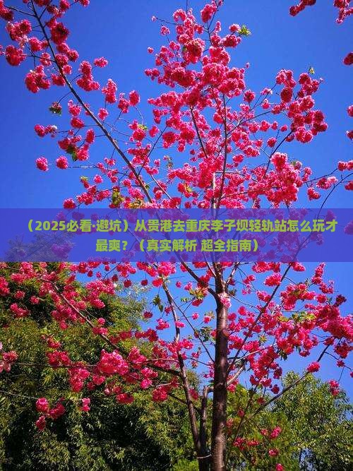 贵港去重庆李子坝轻轨站攻略