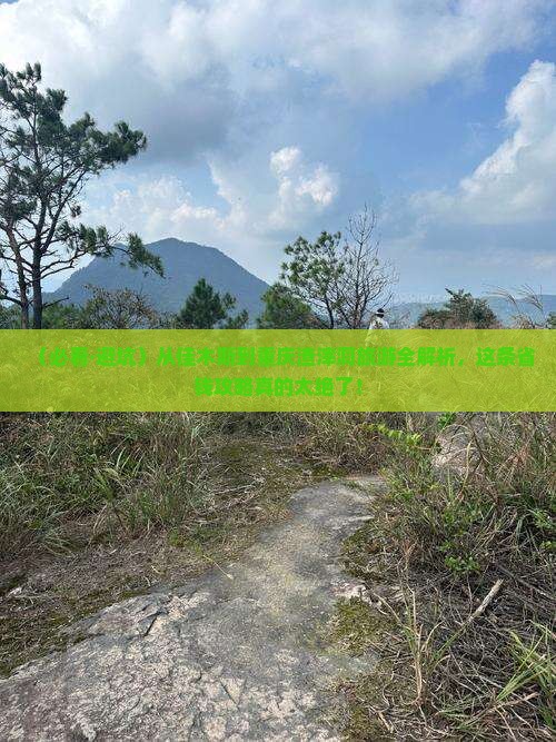 佳木斯去重庆渣滓洞旅行社