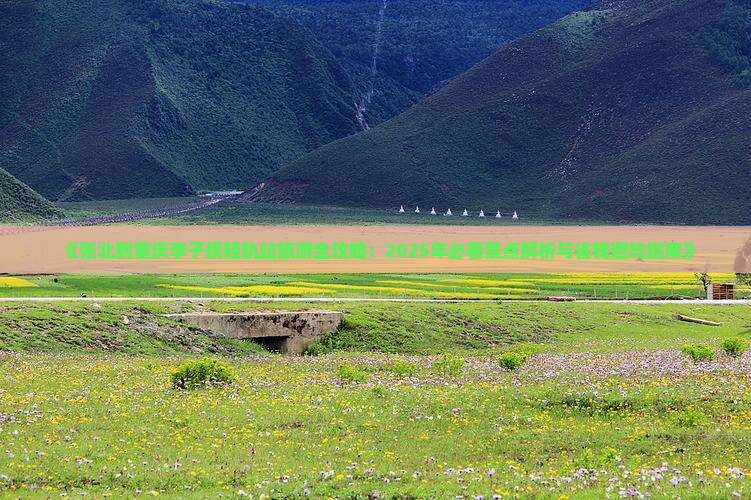 张北去重庆李子坝轻轨站必去地