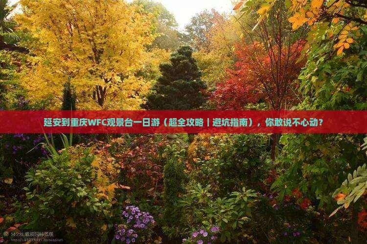 延安到重庆wfc观景台一日