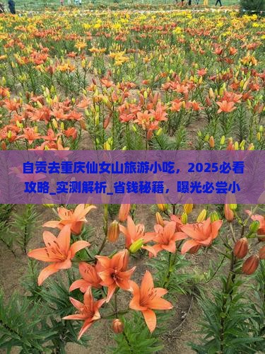 自贡去重庆仙女山旅游小吃 自贡去重庆仙女山旅游小吃