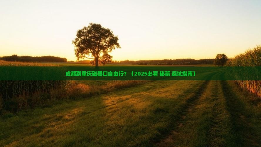 成都到重庆磁器口自由行