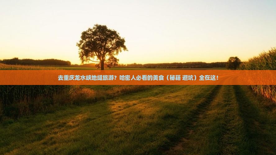 哈密去重庆龙水峡地缝旅游小吃