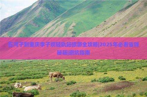 石河子到重庆李子坝轻轨站个人游