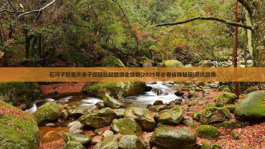 石河子到重庆李子坝轻轨站个人游