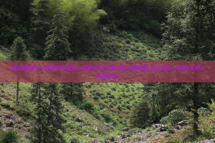 凉山去重庆wfc观景台必去地