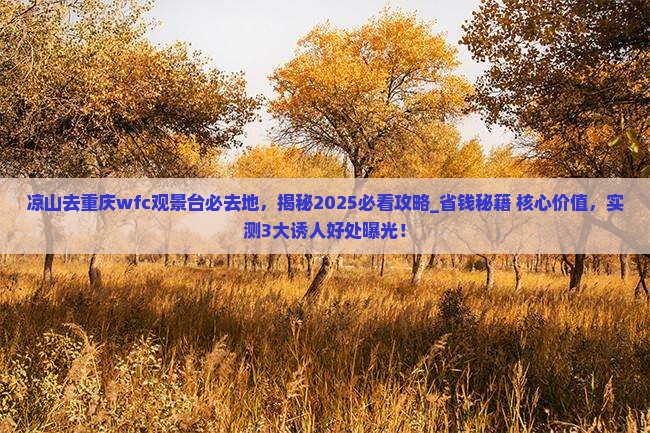 凉山去重庆wfc观景台必去地
