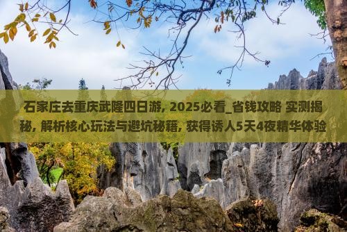 石家庄去重庆武隆四日游