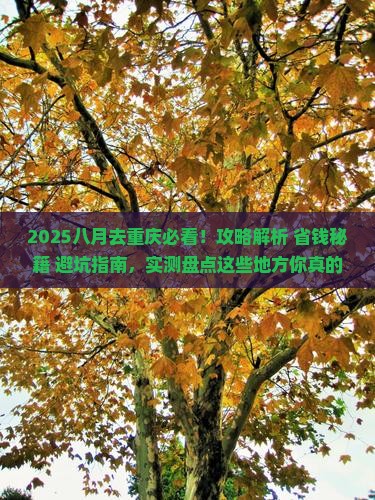 八月去重庆攻略 八月去重庆攻略