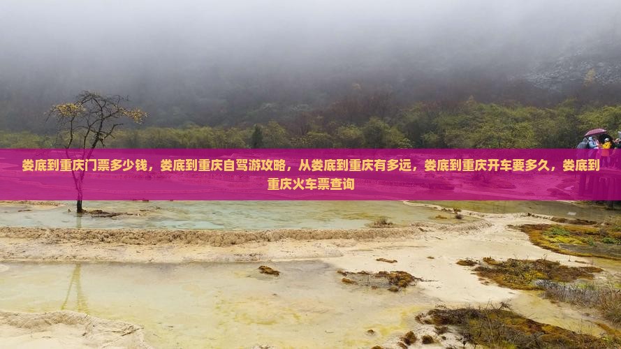 娄底到重庆门票