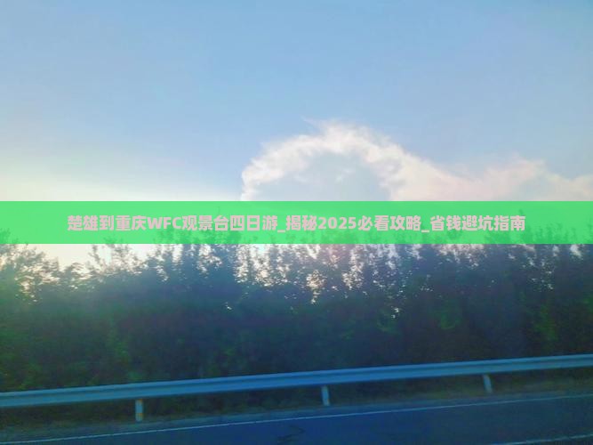 楚雄到重庆wfc观景台四日游