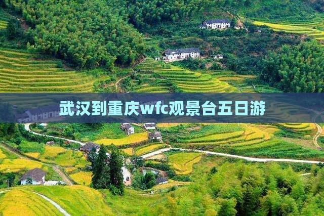 武汉到重庆wfc观景台五日游