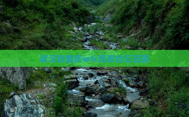 武汉到重庆wfc观景台五日游