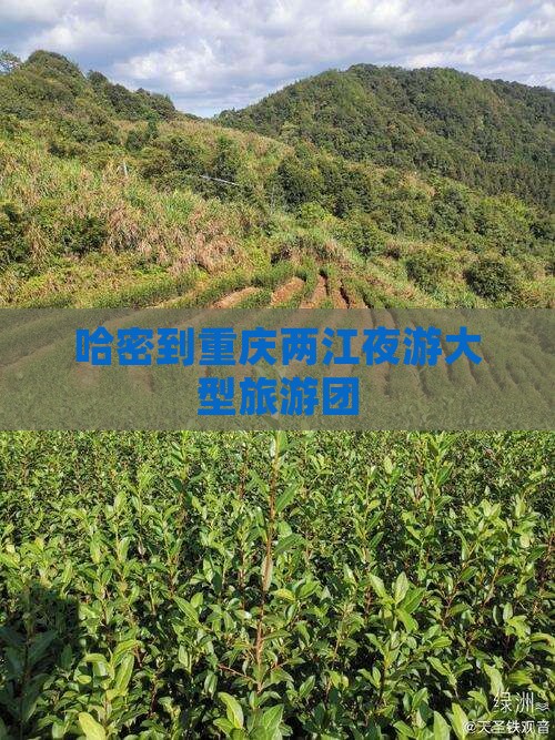 哈密到重庆两江夜游大型旅游团